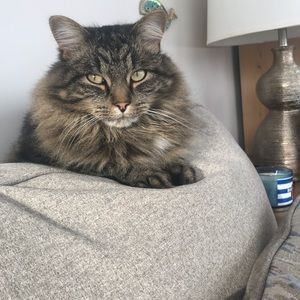 Meet your Posher, Debra